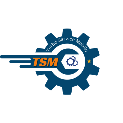TSMTool